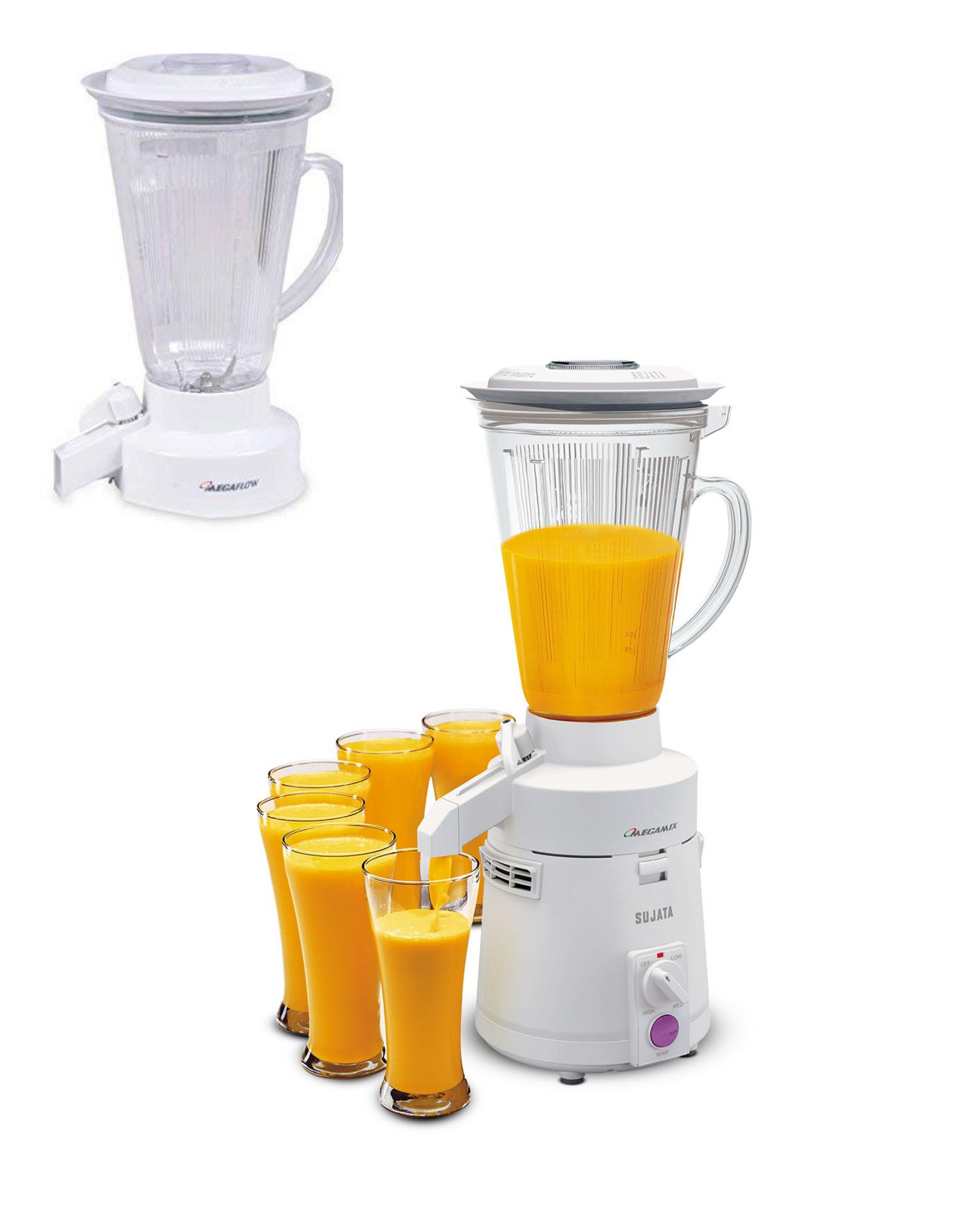 Touch N Feel BLENDER/JUICER JAR SUITABLE FOR SUJATA MEGAMIX MIXER GRINDER -3000 ML Mixer Juicer Jar (3000 ml)